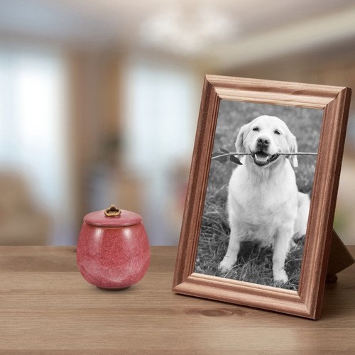 Urnes pour animaux - pour,