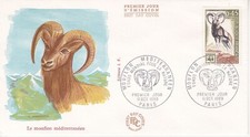 Enveloppe 1er jour Nature Le Mouflon Méditerranéen 1969 FDC 