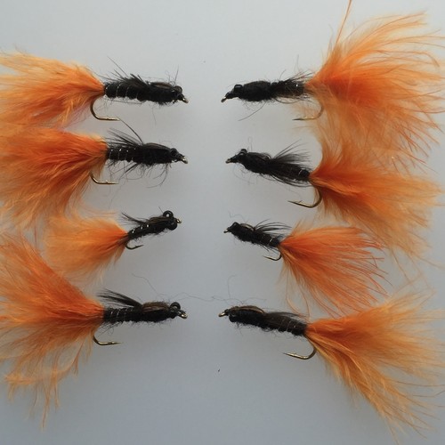 Mouche pêche truite - mouche,