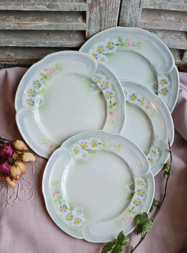 Anciennes assiettes plates - 4,