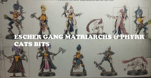 Necromunda escher gang - escher,