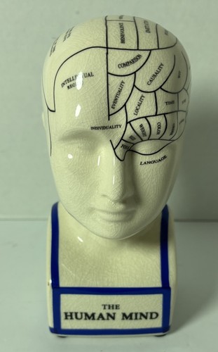 Phrenology the human mind head - human,