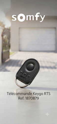 Télécommande somfy keygo - télécommande, rts
