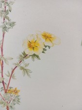 Paul Seguin-Bertault