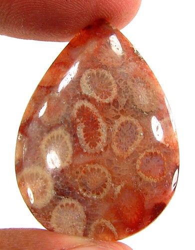 Cabochon pierre corail - en,
