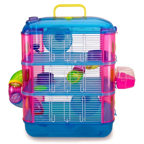 Cage gran canaria petits - cage,
