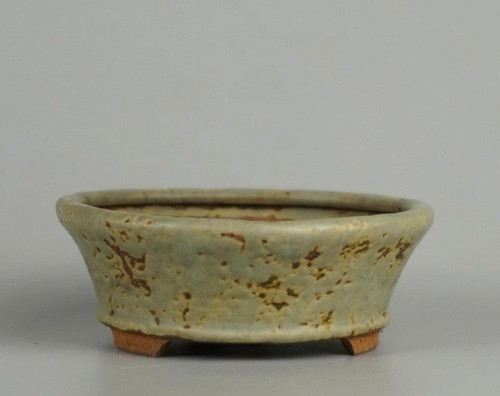 Pot bonsaï japonais - japonais, tenryu