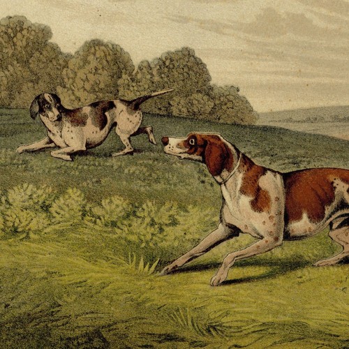 Henri alken chasse - henri,