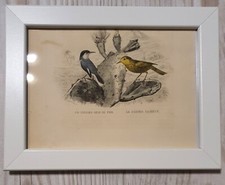 1852 Lithographie Art Print