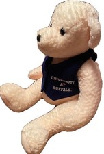 University at Buffalo Teddy