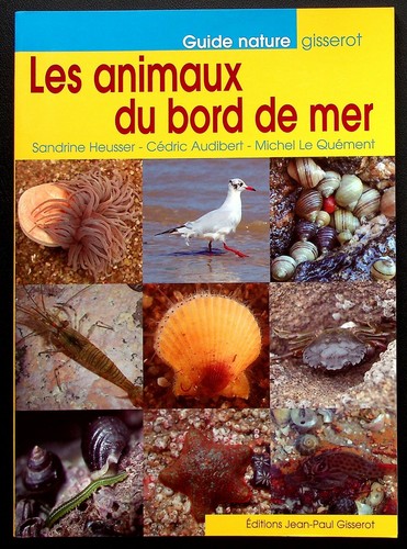 Les animaux bord mer - mer,