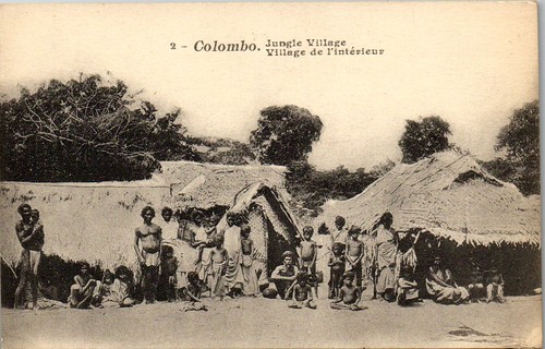 Ceylan colombo village de - village,