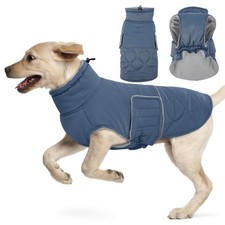 Manteau Bouledogue Francais -