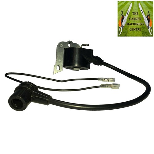 Module bobine allumage - module, d'allumage
