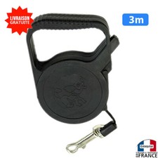 Laisse de chien sangle pour