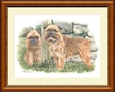 GRIFFON BRUXELLOIS fine art print by Lynn Paterson