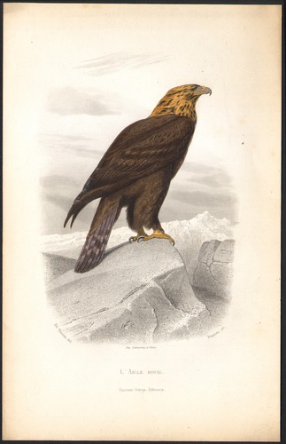 1853 gravure aquarellée - 1853,