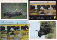 Lot de 4 cartes postales