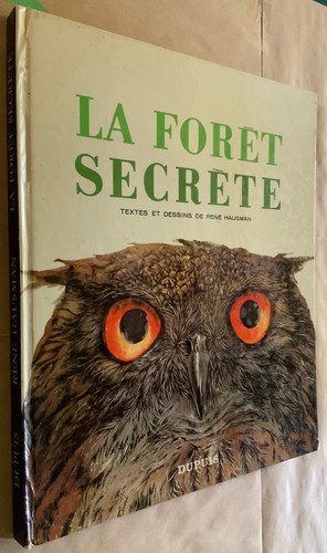 Forêt secrète rené - secrète,