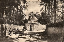 Marabout Nefta Tunisia vintage postcard v523