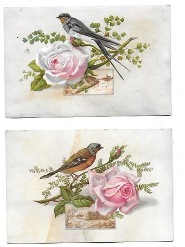 Anciens chromos oiseaux - anciens,