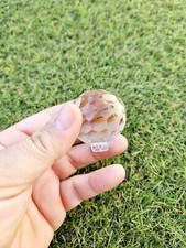Boule A Facette De Lustre A Pampilles