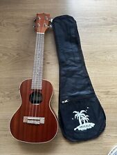 ukulélé concert kala electro