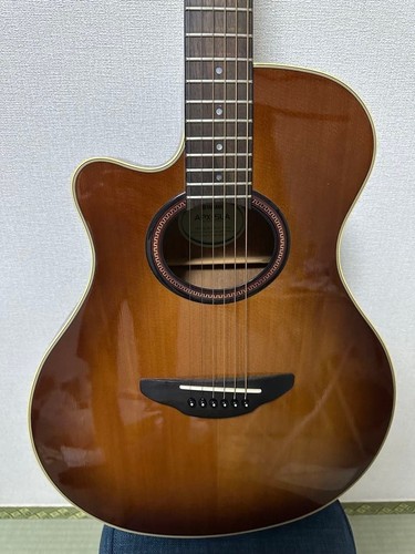 Guitare électrique acoustique