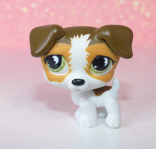 authentic LPS petshop 804