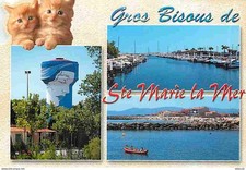 Animaux - Chats - Chatons -