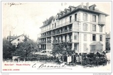 SWITZERLAND - DEER WOOD - Route d'Ouchy