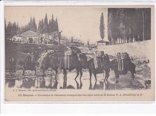 TURKEY: SMYRNA: camel caravans carrying Turkish carpets from the maize