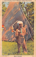 Cherokee Chief Standing