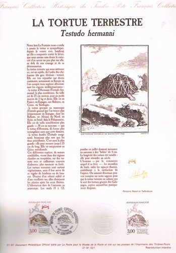 Document officiel la - officiel,