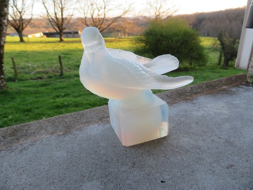 Murano pigeon verre - pigeon,
