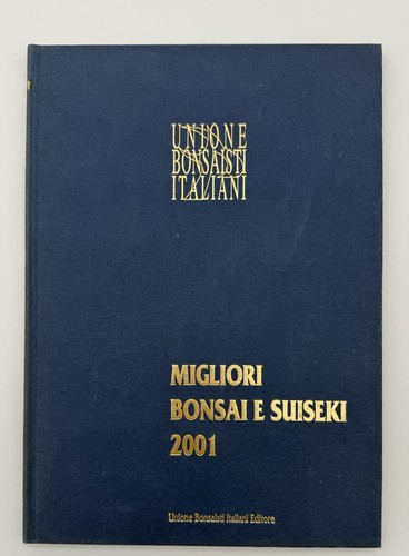 Migliori bonsai suiseki 2001 - e,