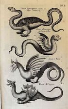 Ioann. Ionstoni Historiae Naturalis De Piscibus De Serpentibus 1757 Jan Johnston