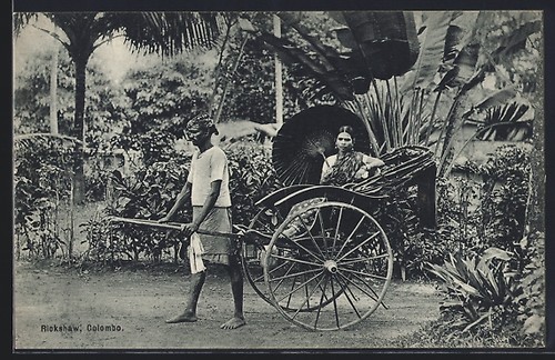 Ceylan sri lanka - ceylan, lanka,