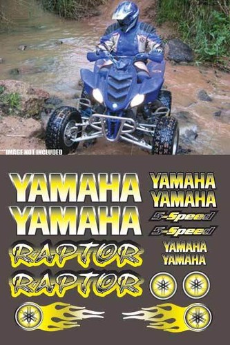 Raptor yamaha yellow airbrush - raptor,