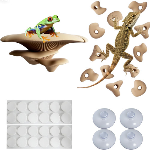 Mushroom terrarium decor - terrarium, &
