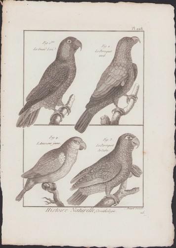 1790 buffon bonnaterre - 1790,