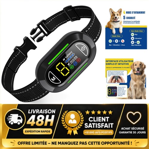 Collier anti aboiement chien - collier,