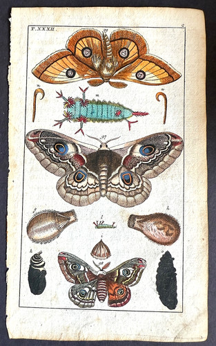 Rare 1797 wilhelms three - 1797,