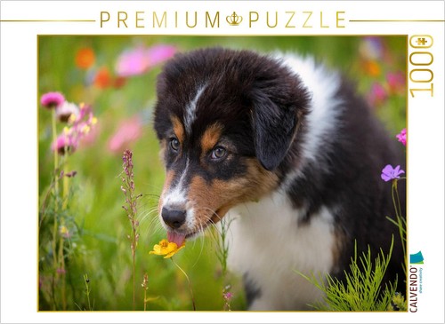 Puzzle calvendo chiot - puzzle,
