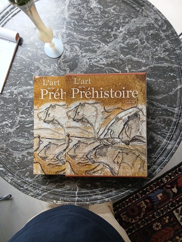 Art la préhistoire - l'art,