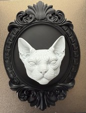 Chat Sphynx élégant dans un