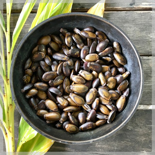 Graines corossol annona - graines, (annona