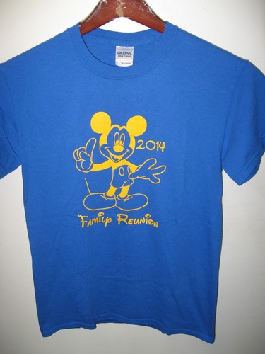Walt disney disneyland - disneyland,
