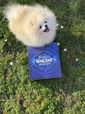 ♉ World of Warcraft Midnight