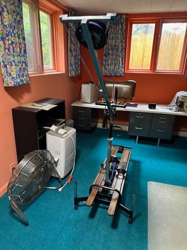 Nordick track sky trainer - nordick,